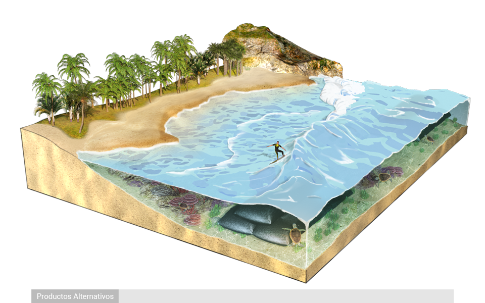 Rompeolas sumergidos y Arrecife Artificial