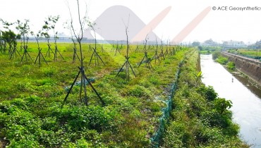 Traitement in&eacute;gal des terres, Miaoli, Taiwan