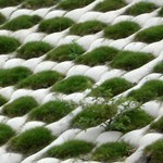 Vegetation Type geotextile mattresses